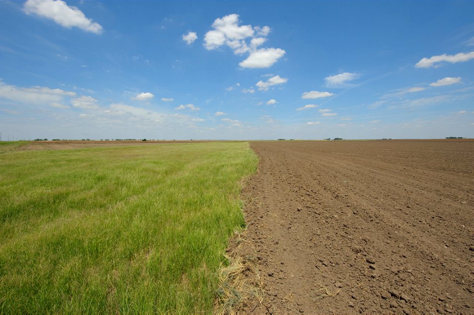 Grassed waterway