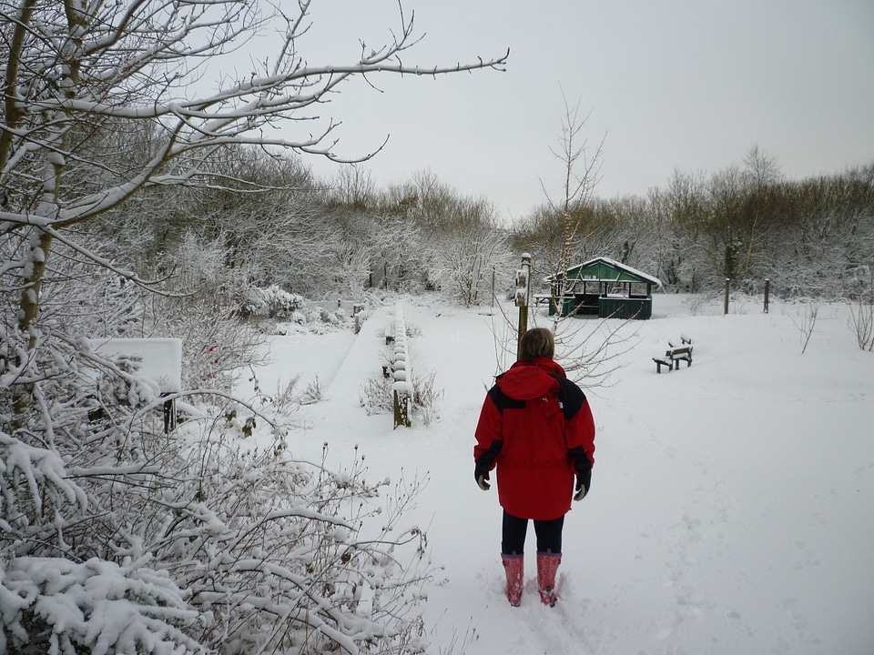 Woman walking through the snow