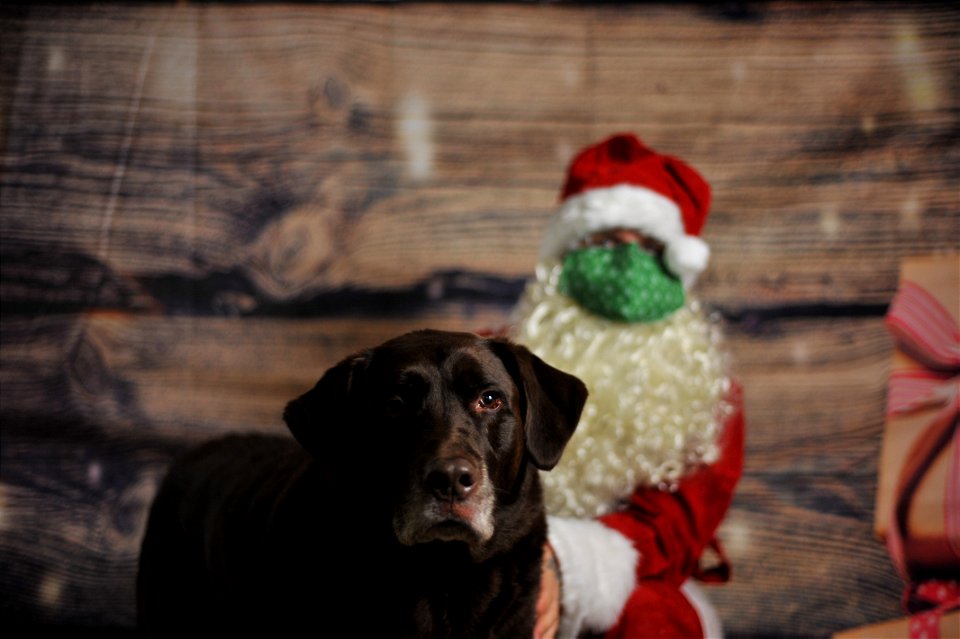 City of Elderly Love Claus for Paws Fundraiser