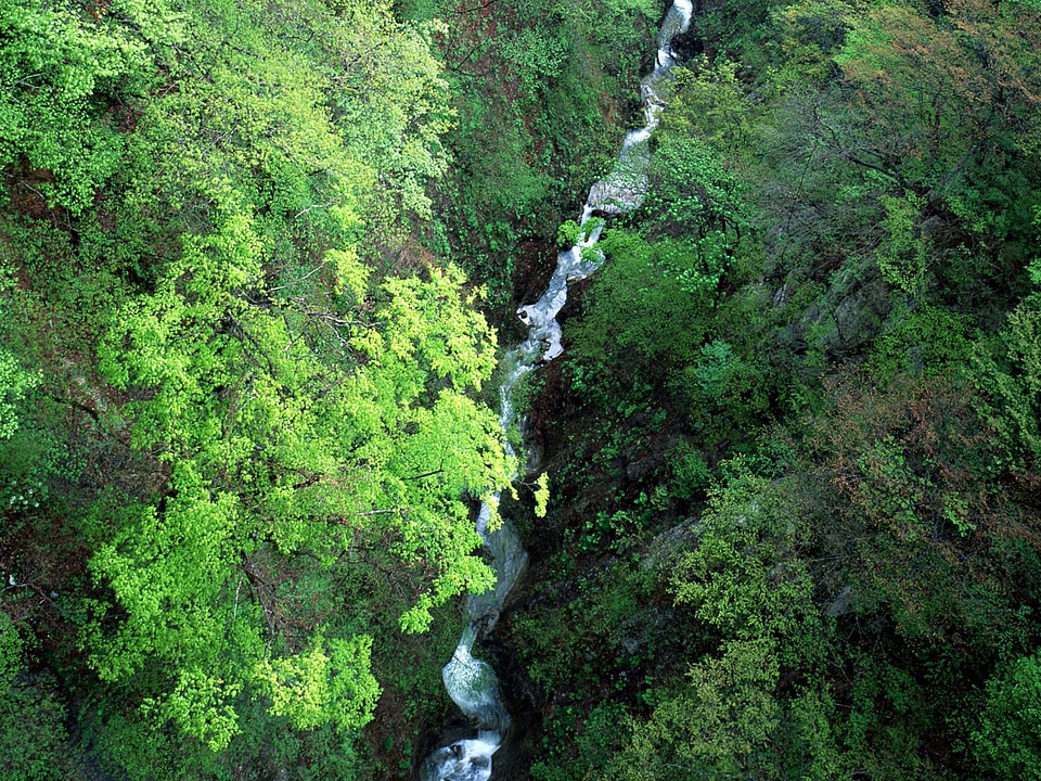 Beautiful mountain river landscape from stone footpath