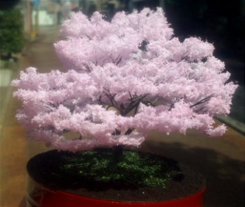 桜の模型№,11 photo