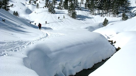vers la cabane de Camplong