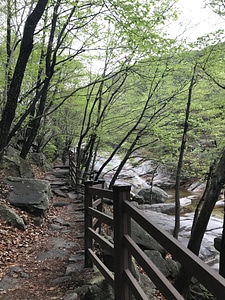 Gajisan state park in South Korea