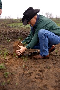NRCS Texas Soil Scientist Nathan Haile examines soil condition after a wildfire three weeks earlier. photo