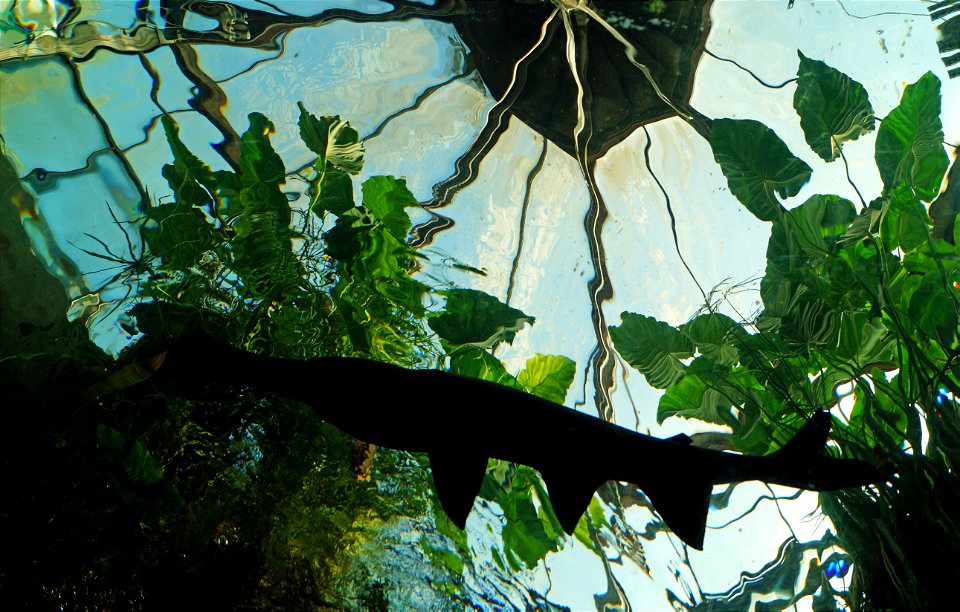 Aquarium Bristol Zoo