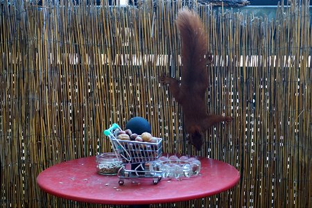 sniffing out the future lunch/dinner table