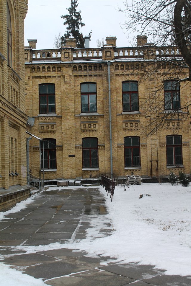 Old windows