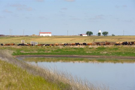 20090527-_DSC0189