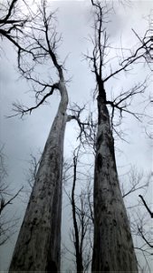2021 Photo Contest_46