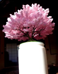 桜の模型№,17
