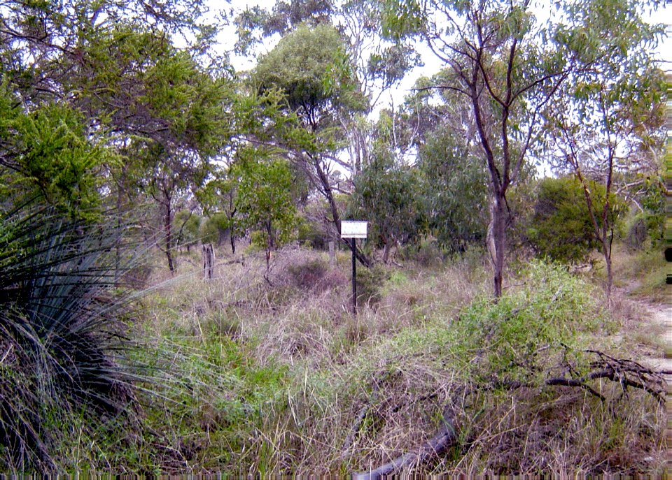 2006 photopoint site 3