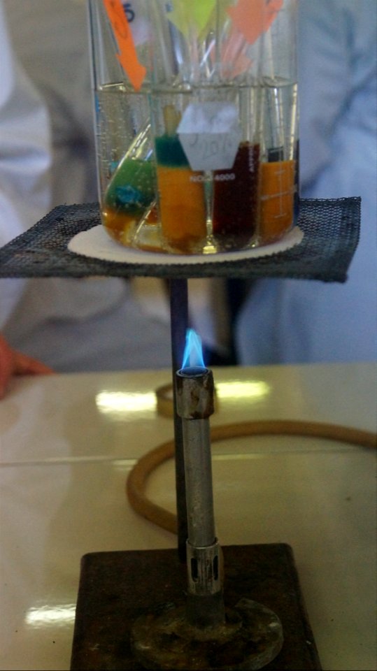 Laboratorio de Química (8).