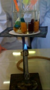 Laboratorio de Química (8).