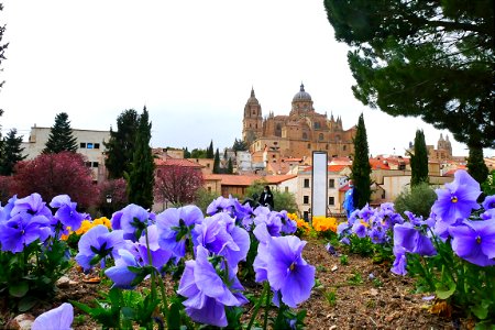 Salamanca photo