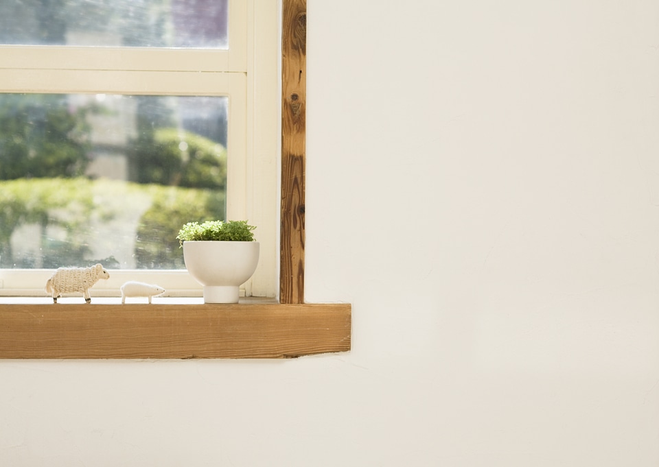 interior design scene with a plant on the window
