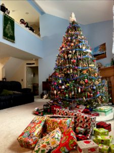 IMG_0220