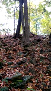 Serpent Mound,  Kentucky