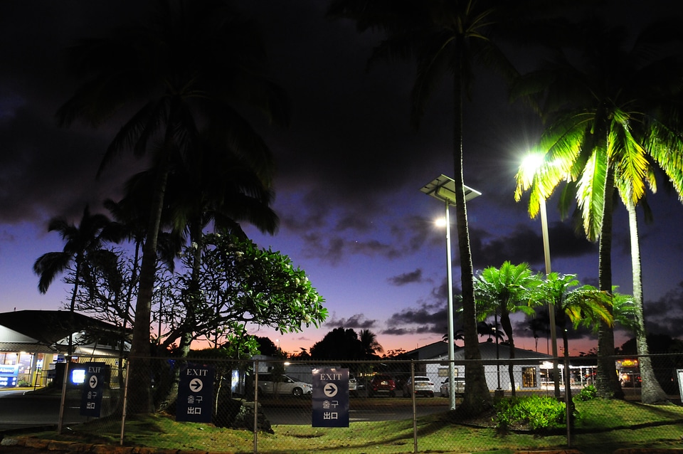 Tropical silhouette in Hawaii