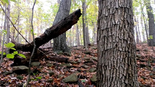 20171025_103810