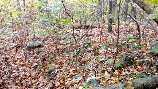 20171025_103333