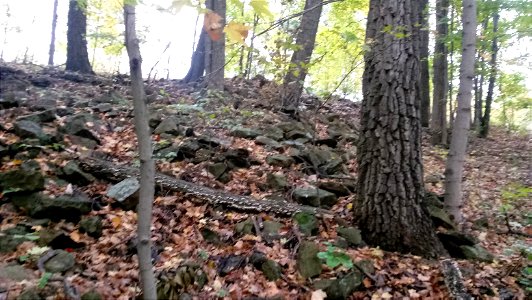 Serpent Mound,  Kentucky