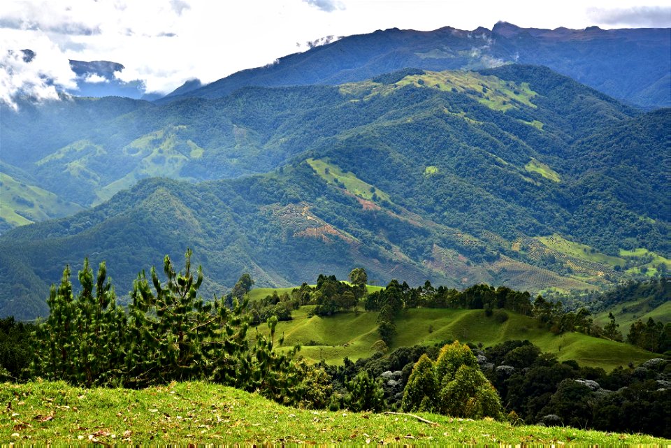 Paisaje en Quindío. Cordillera Central de Colombia. Camino Naciona. Vía a Toche y Cajamarca.