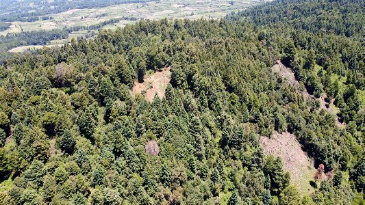 SEIARN_SEIF_DSIA_FERNANDO_VALDEZ_CALDERÓN_DJI_0088