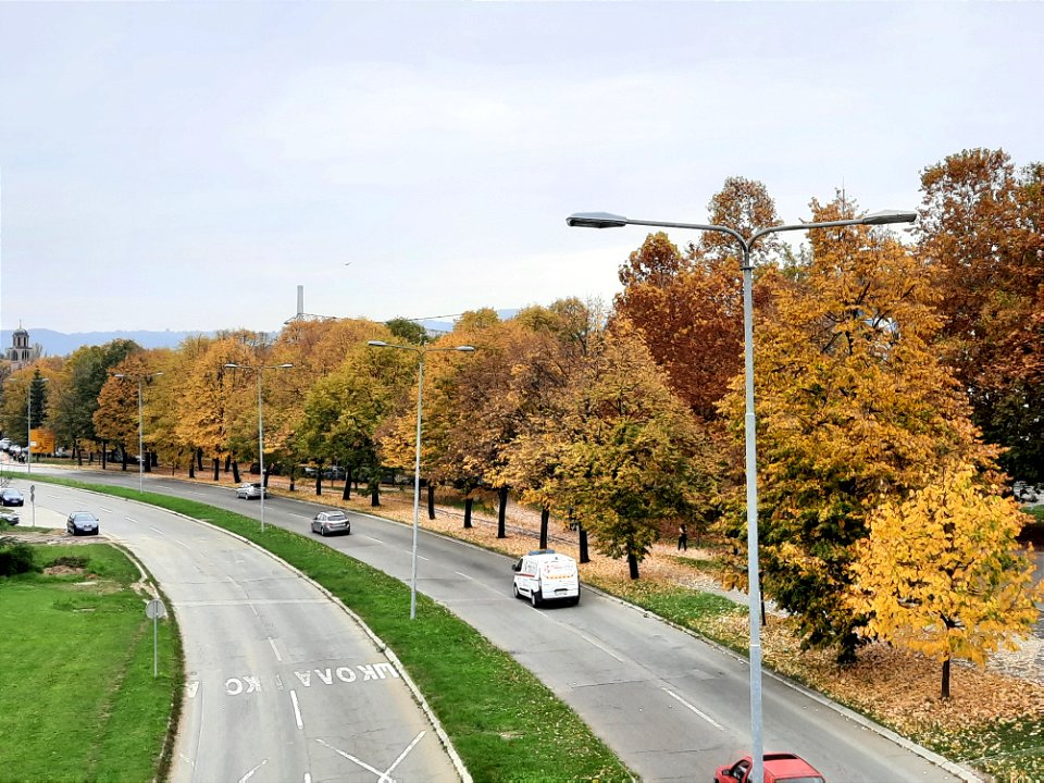 Autumn in Bulevar Desanke Maksimović (2), Starčevica, Banja Luka, BiH