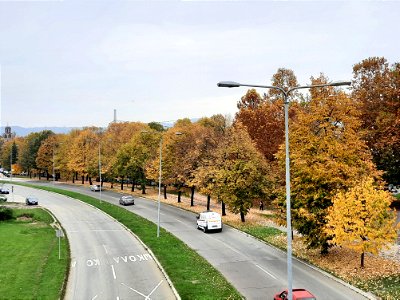 Autumn in Bulevar Desanke Maksimović (2), Starčevica, Banja Luka, BiH