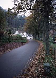 Autumn landscape with road photo