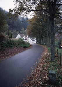 Autumn landscape with road
