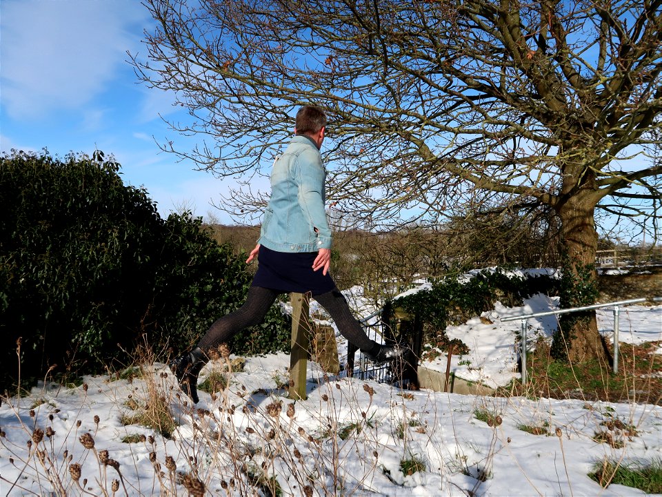 Snowy leap photo