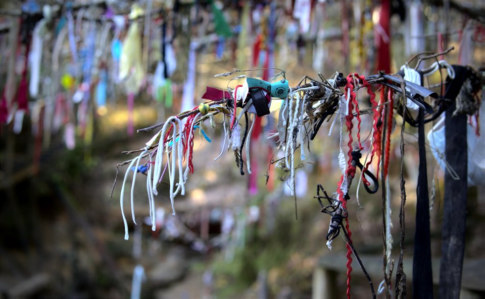 Tree of wishes photo