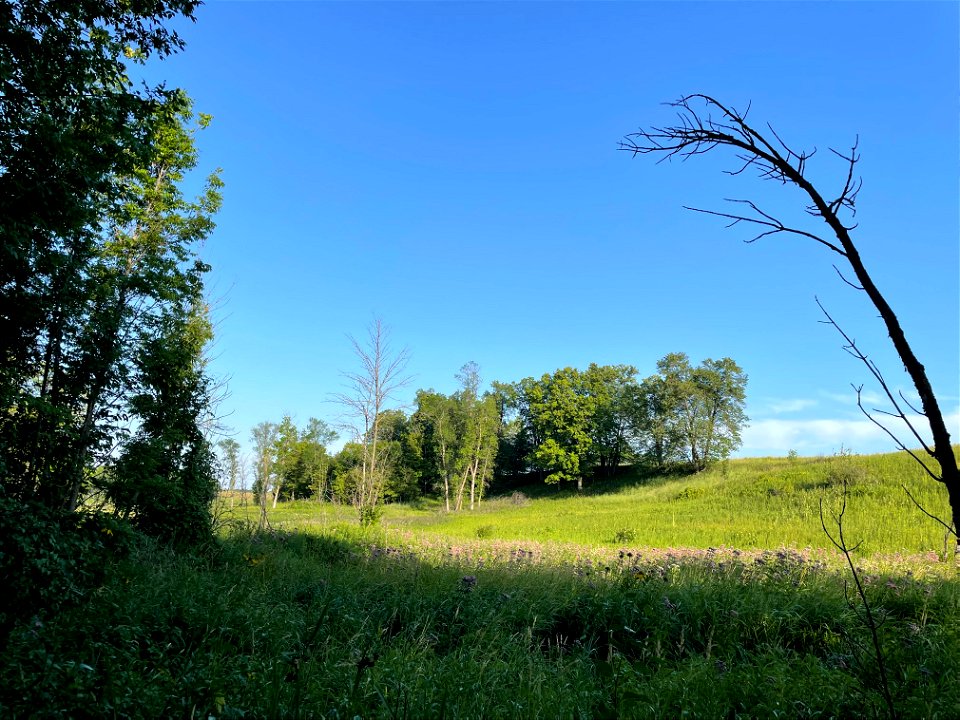 Crow Wing River park Minnesota 2022 Aug