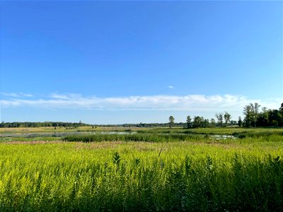 Crow Wing River park Minnesota 2022 Aug