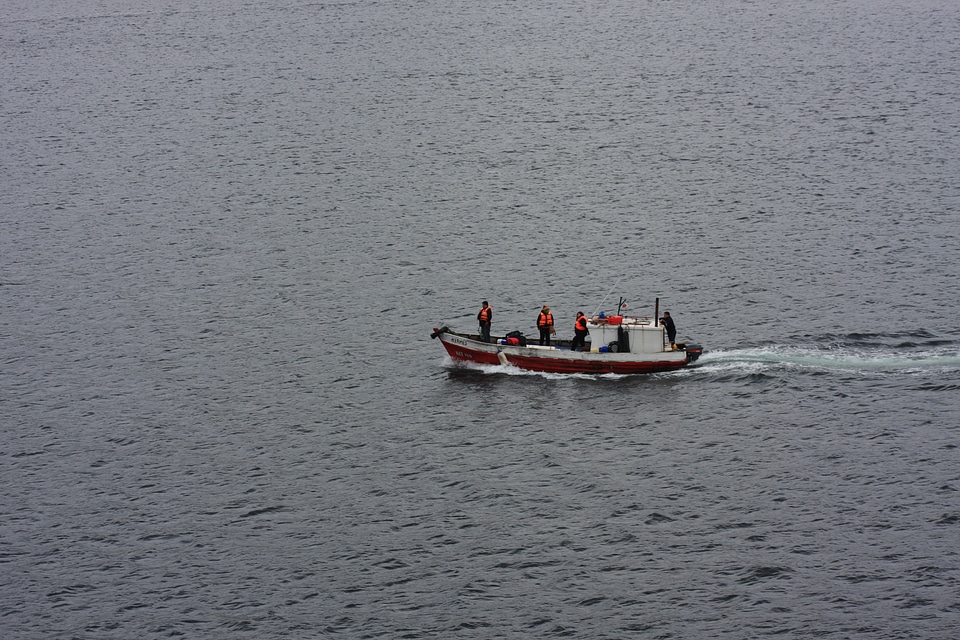chilean fjord on a cruise