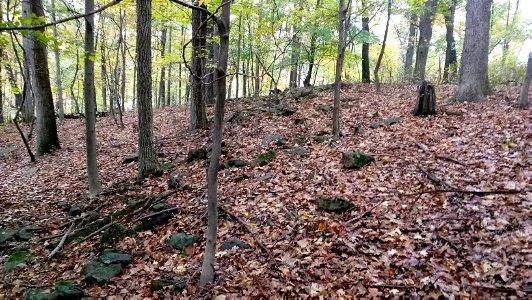 20171025_103201