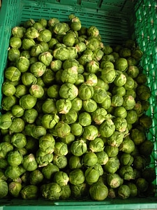 Green vegetables food shopping
