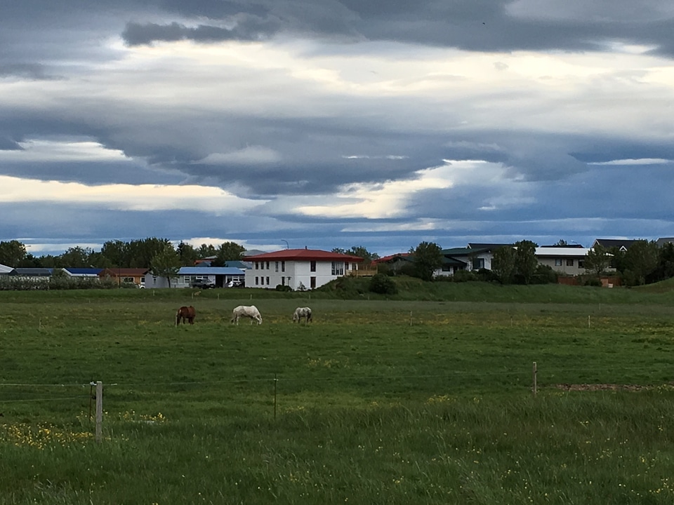 Icelandic Landscape