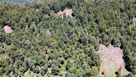 SEIARN_SEIF_DSIA_FERNANDO_VALDEZ_CALDERÓN_DJI_0057