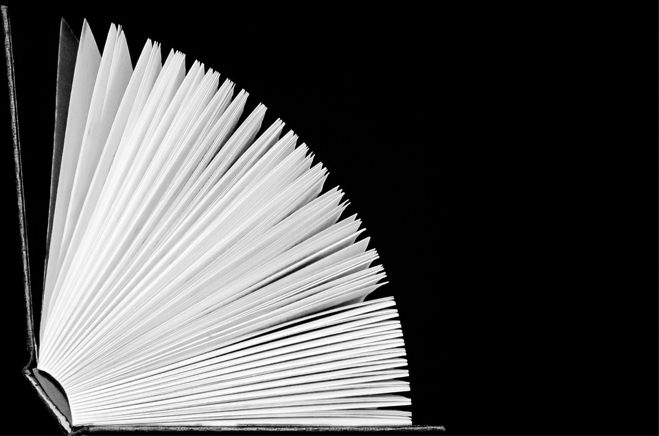 Pages books adventure