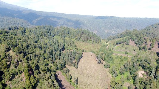 SEIARN_SEIF_DSIA_FERNANDO_VALDEZ_CALDERÓN_DJI_0467