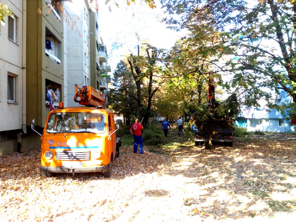 Workers prune trees in residential block in Banja Luka, Bosnia and Herzegovina