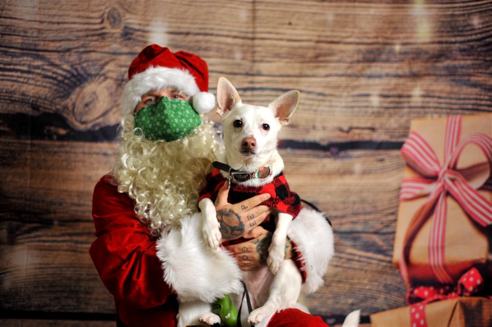City of Elderly Love Claus for Paws Fundraiser