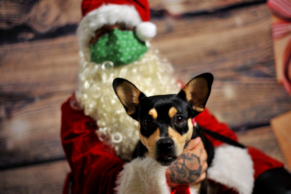 City of Elderly Love Claus for Paws Fundraiser