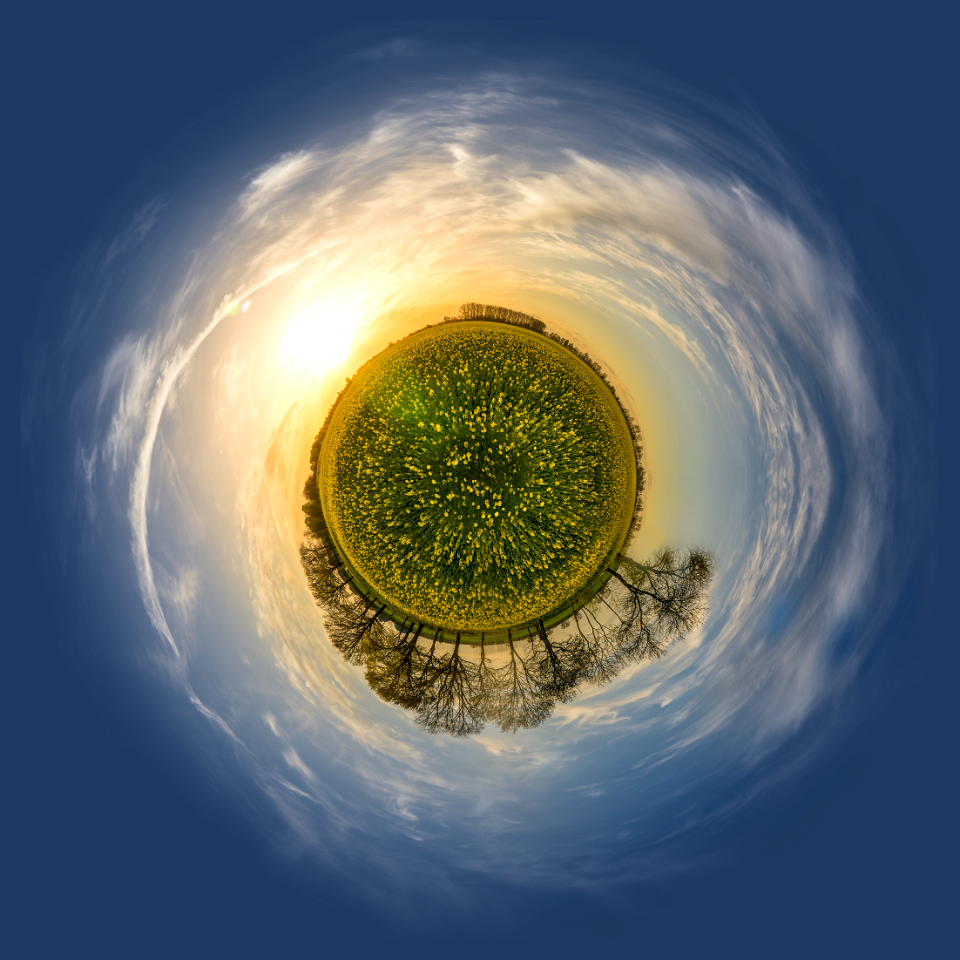 flowers meadow mini planet photo