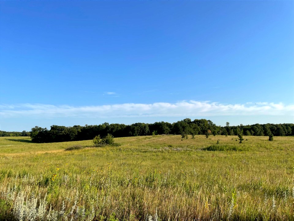 Crow Wing River park Minnesota 2022 Aug