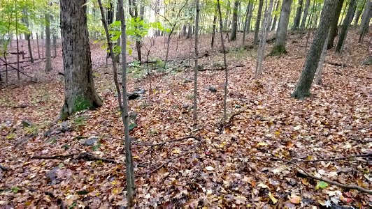 20171025_103111