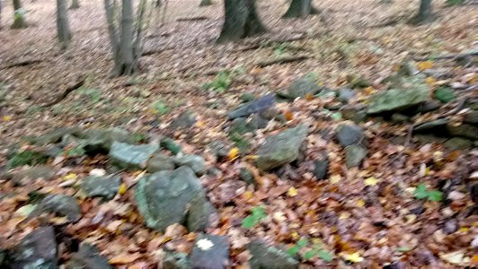 20171025_104406