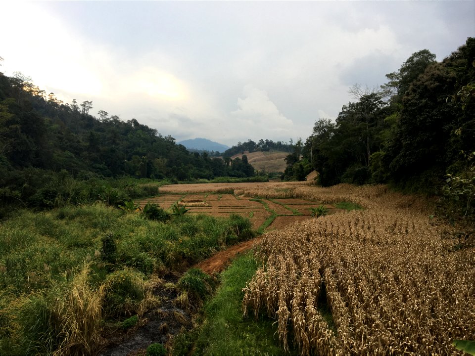Myanmar